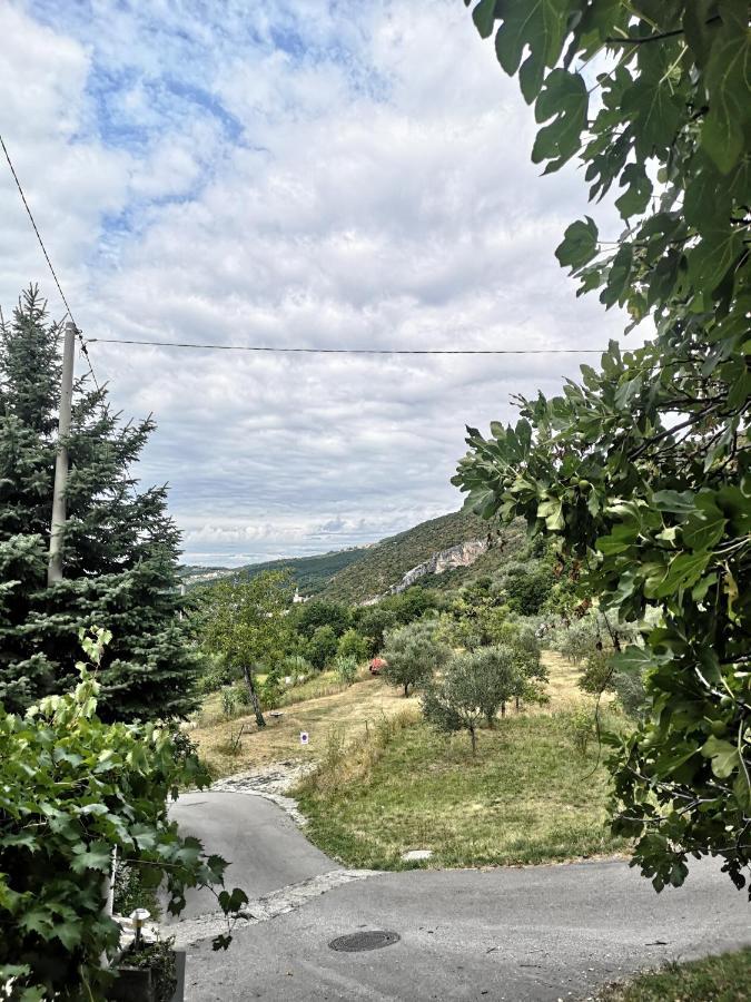 Črni Kal House Cehヴィラ エクステリア 写真